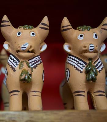 Descubre el lado mítico del popular “torito” en la sala de video del museo.